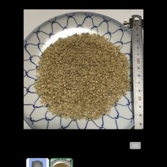 ③　6年産ミルキークイン　玄米　15kg の画像