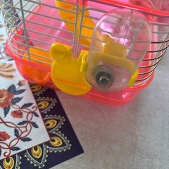 ハムスター飼育セット
の画像