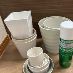 観葉植物セットの画像