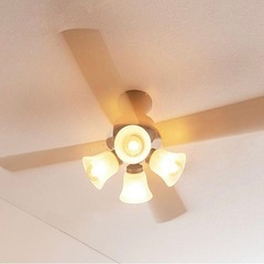シーリングファンライト　ホワイト家具✳︎新品の画像
