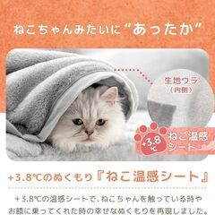 G9　未使用/新品　毛布 2枚合わせ シングル ＋3.8℃温感シート 掛け毛布 猫柄 ふわふわ 暖かい 洗える 冬の画像