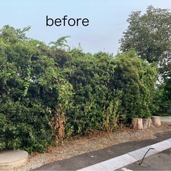 お庭のことなら、おまかせ下さい!  ♢初回限定料金20%オ…