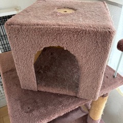 キャットタワーの画像