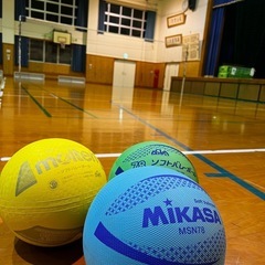 ソフトバレーボール