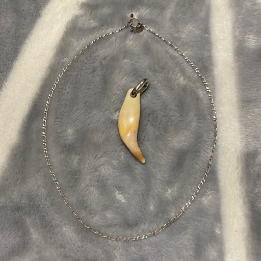 希少　XOLO JEWELRY ショロ ジュエリー　ツキノワクマ　牙