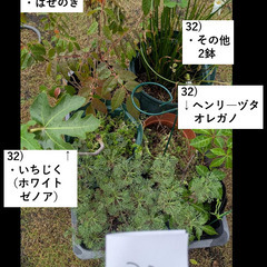 お庭の整理。第4弾。の画像