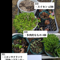 お庭の整理。第4弾。の画像