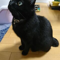 女性麻雀教室の画像