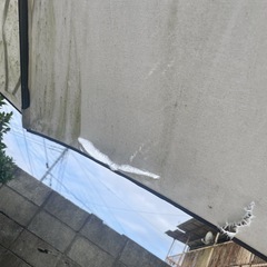 パラソル　ジャンク　の画像