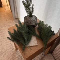 クリスマス枝 13本の画像