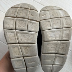 NIKEダイナモフリー　15cmの画像