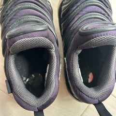 NIKEダイナモフリー　15cmの画像