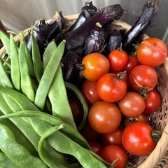 ★【本日朝採り新鮮野菜トマト・ナス・インゲン3種類一籠を ¥100にてお譲り致します♪】㉔の画像