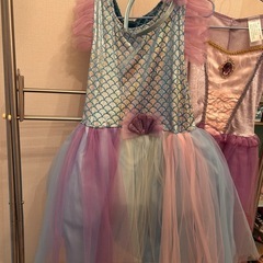 プリンセスドレス
の画像