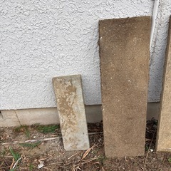 庭、踏み石の画像
