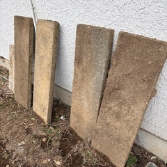 庭、踏み石の画像