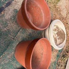 植木鉢　プランター　セットの画像