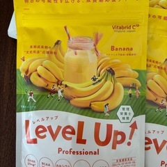 4万円分　未開封ビタブリッドC LEVEL UP Proffesional 粉末 バナナ&イチゴ 11袋の画像
