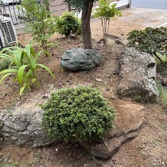 庭石の画像