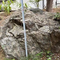 庭石の画像