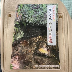 里の名水、やまがた百選の画像