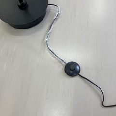 照明インテリア　先客有りの画像