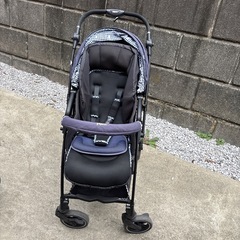 ピジョン　ランフィリノン　A B型の画像