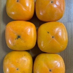 種なし甘柿　約1kg（6個入り）の画像