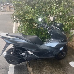 PCX125JK05の画像
