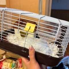 ハムスター用品お譲りします🐹  の画像