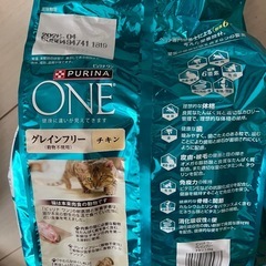 猫のエサ　2種類　新品未開封の画像