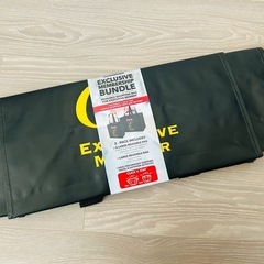 コストコ エグゼクティブ会員限定バッグ　2枚セットの画像