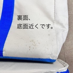 コストコクーラーバッグ２個セットの画像