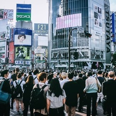 【人探し・所在調査】家出人、失踪者、債務者の所在判明