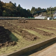 体験農園　2026年3月末までキャンペーンで1区画2000円(先着10名まで)の画像