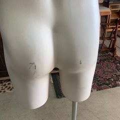 トルソー　男性の画像