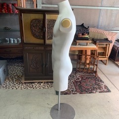 トルソー　男性の画像