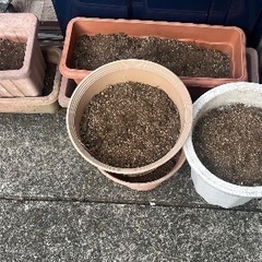 10/14在庫更新🌈連絡必要‼️ご来店してご自由にお持帰り下さい❗️ 植木鉢❗️土❗️の画像