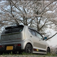スズキ　アルトワークス　4WD 5MTの画像