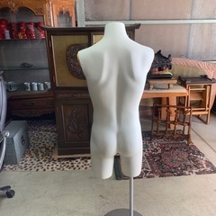 トルソー　男性の画像
