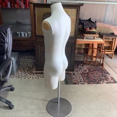 トルソー　男性の画像
