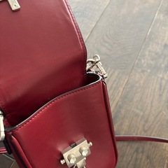 スマホショルダーバッグ　カート入り　の画像