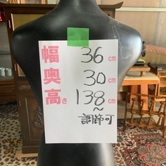 トルソー　の画像