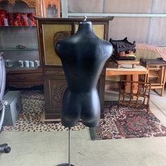 トルソー　の画像