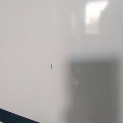 HISense 2019年式単身用冷蔵庫の画像