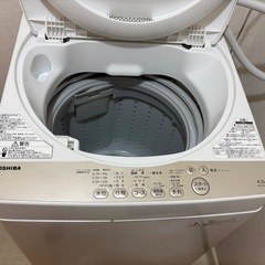 せんたくき洗濯機の画像