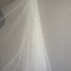 ベールの画像