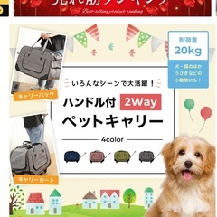 ペットキャリーの画像