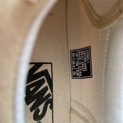 VANS  バンズ  スニーカー  24.5cmの画像
