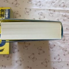 三省堂例解小学漢字辞典 : ワイド版の画像